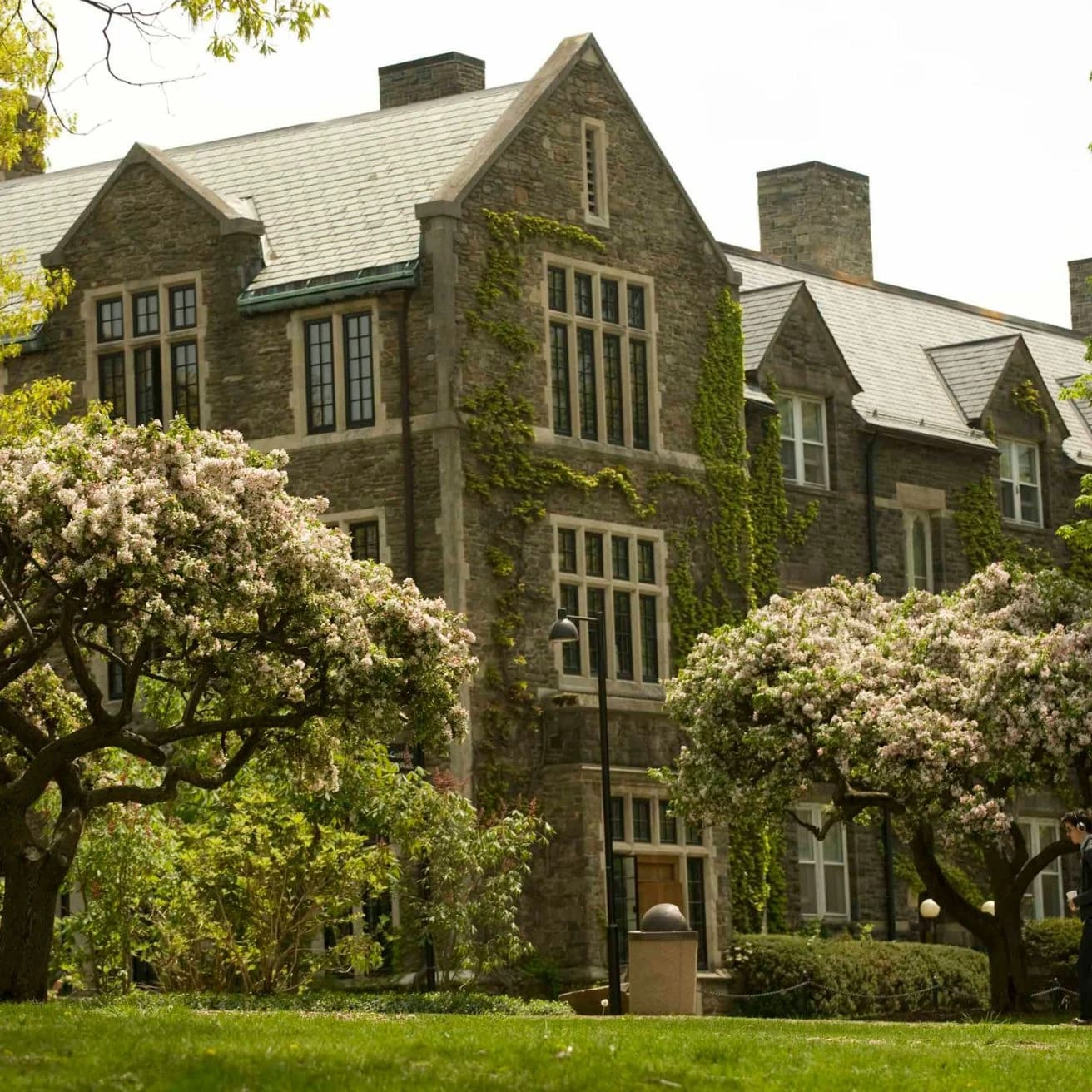 Campus / aerial photo