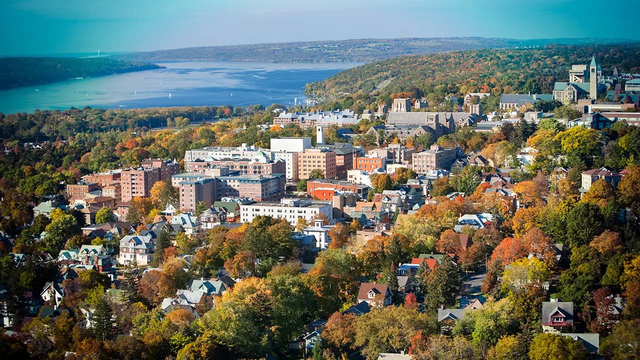 Campus / aerial photo