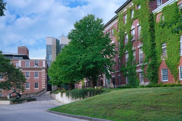 Campus / aerial photo