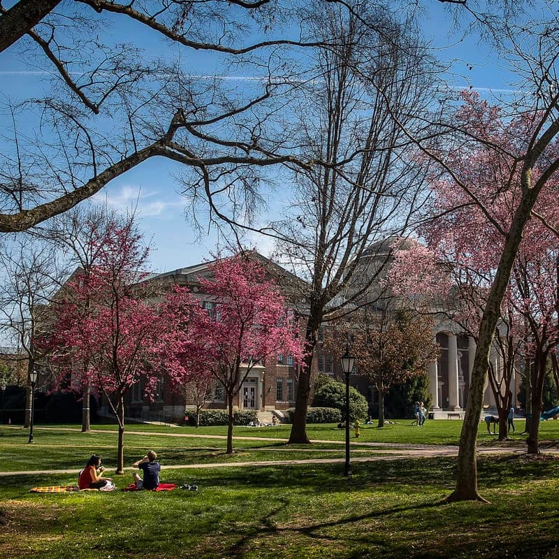 Davidson College campus image