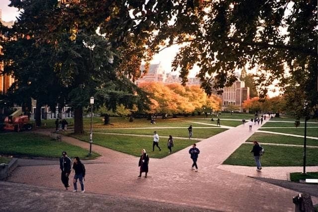 Campus / aerial photo