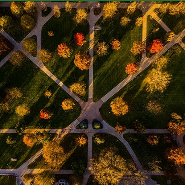 Campus / aerial photo