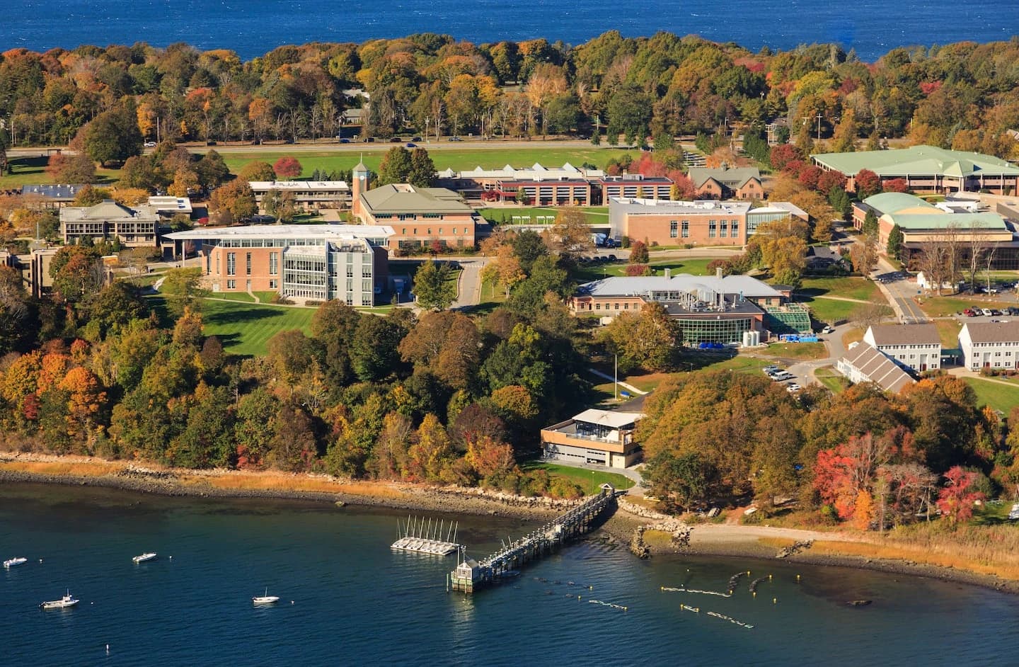 Roger Williams University campus image