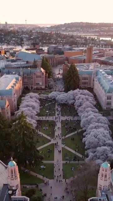Campus / aerial photo