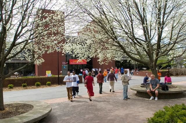 Campus / aerial photo