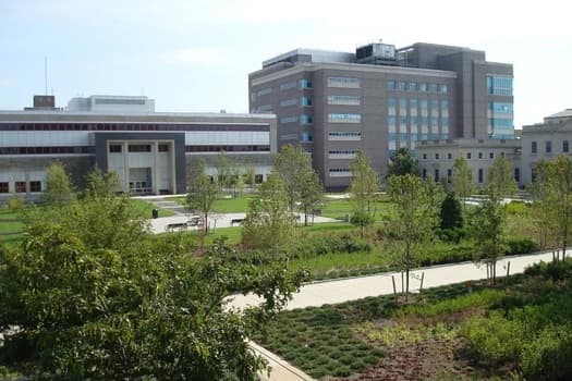 Campus / aerial photo