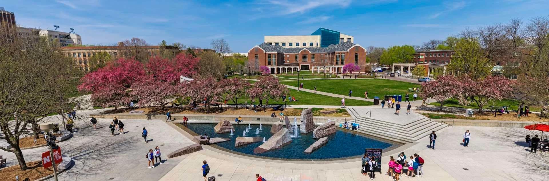 Campus / aerial photo