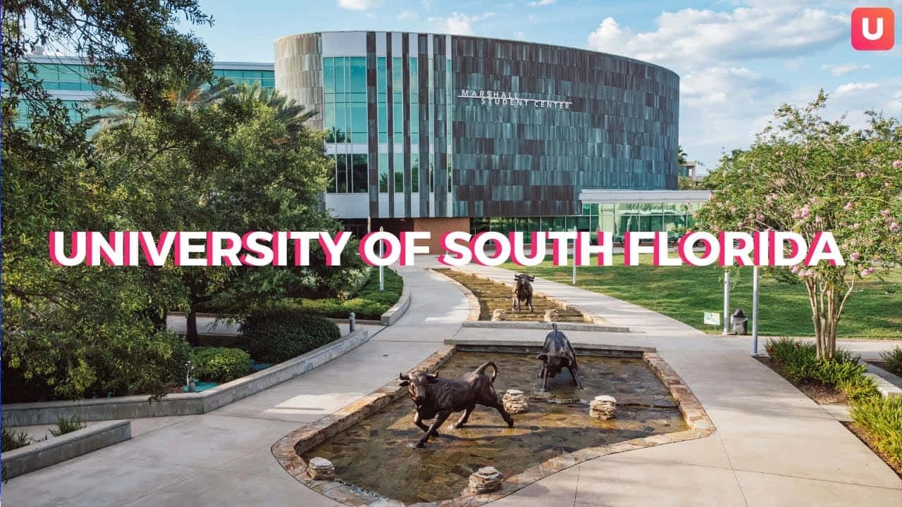 Campus / aerial photo