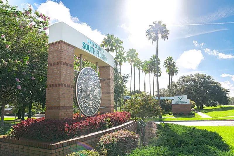 University of South Florida campus image