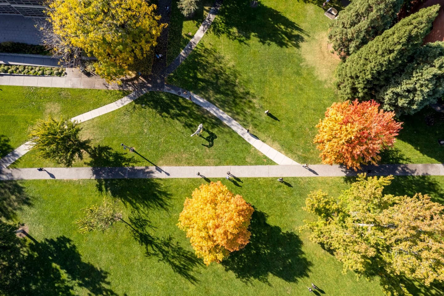 Whitman College campus image