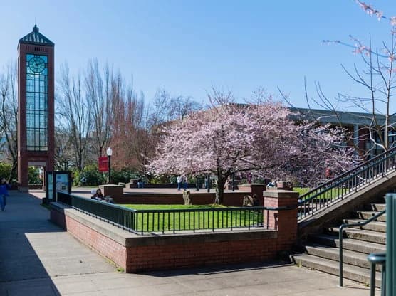 Campus / aerial photo